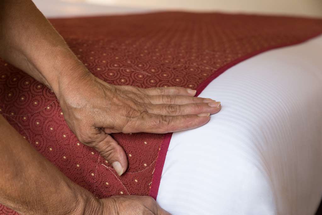 Hotel Les Amandiers Tournon-sur-Rhone Servicios foto